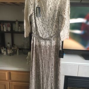 Beautiful Tadashi Shoji dress with tags
